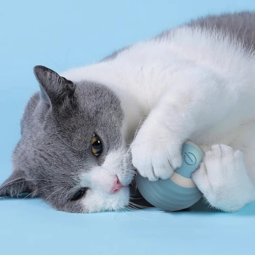 JUGUETE DE PELOTA QUE SE MUEVE SOLA PARA GATITOS