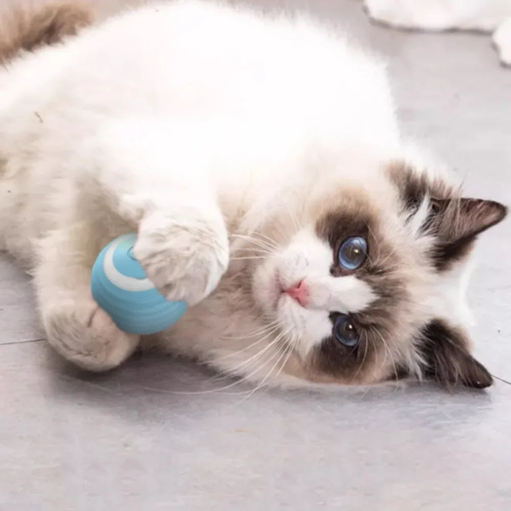 JUGUETE DE PELOTA QUE SE MUEVE SOLA PARA GATITOS