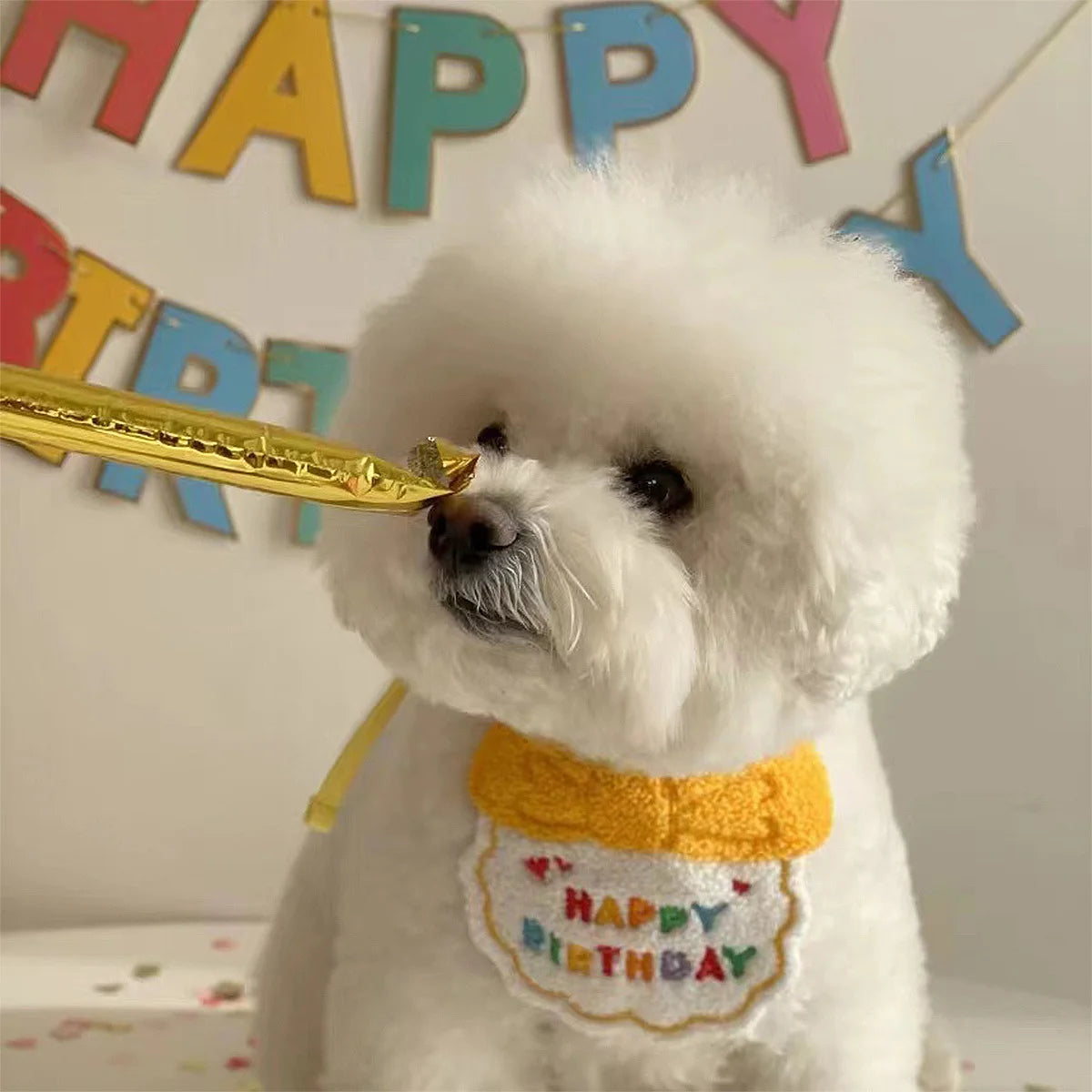 CONJUNTO DE GORRO Y PAÑUELO FELIZ CUMPLEAÑOS