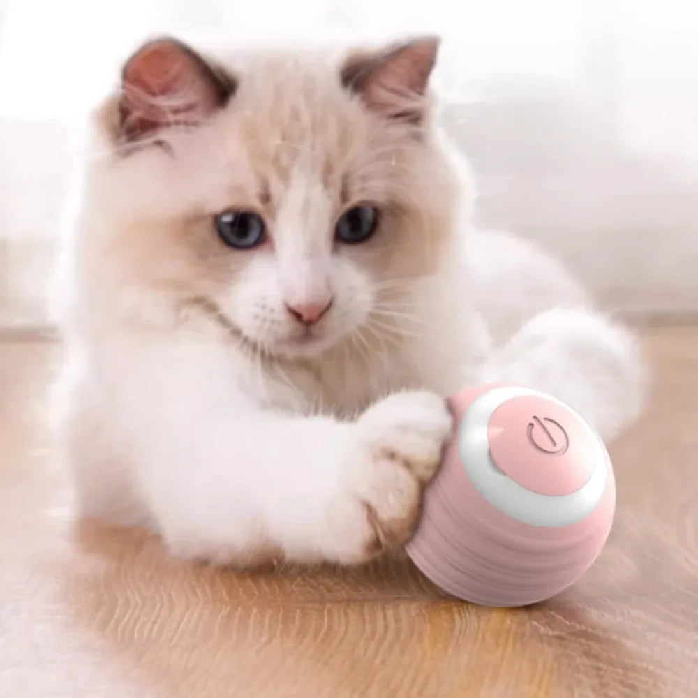 JUGUETE DE PELOTA QUE SE MUEVE SOLA PARA GATITOS